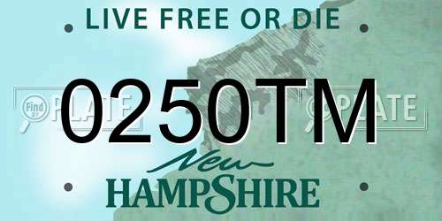 0250TM New Hampshire License Plate