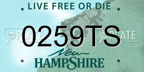 0259TS New Hampshire License Plate