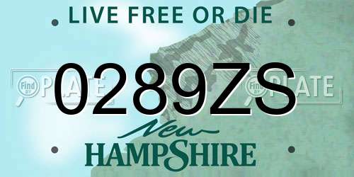 0289ZS New Hampshire License Plate