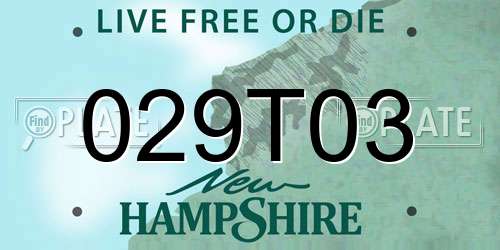 029T03 New Hampshire License Plate
