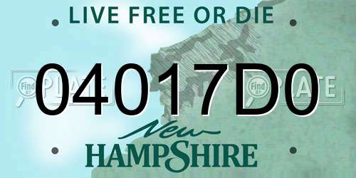 04017D0 New Hampshire License Plate