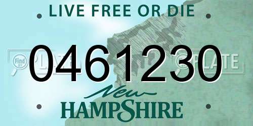 0461230 New Hampshire License Plate