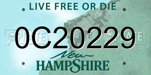 0C20229 New Hampshire License Plate