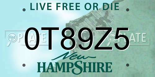0T89Z5 New Hampshire License Plate