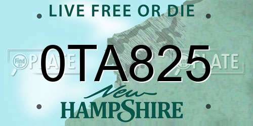 0TA825 New Hampshire License Plate