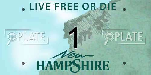 1 New Hampshire License Plate