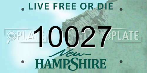 10027 New Hampshire License Plate