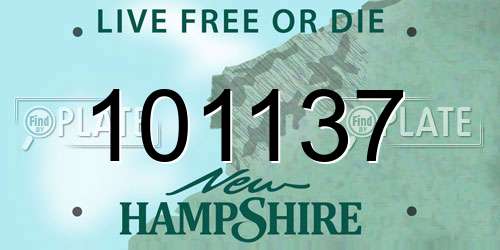 101137 New Hampshire License Plate