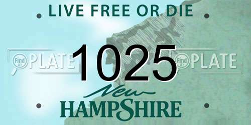 1025 New Hampshire License Plate