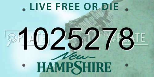 1025278 New Hampshire License Plate