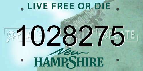 1028275 New Hampshire License Plate