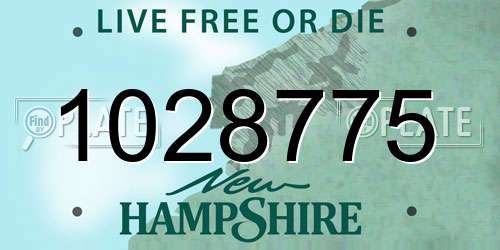 1028775 New Hampshire License Plate