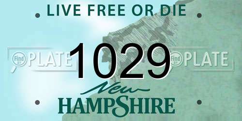 1029 New Hampshire License Plate