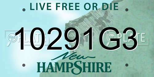 10291G3 New Hampshire License Plate