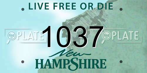 1037 New Hampshire License Plate