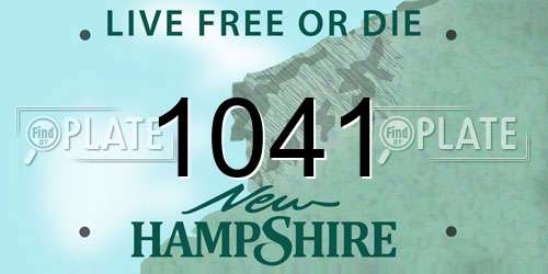 1041 New Hampshire License Plate