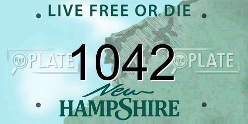 1042 New Hampshire License Plate