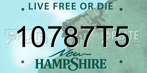 10787T5 New Hampshire License Plate