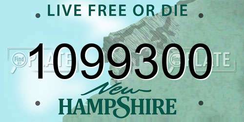 1099300 New Hampshire License Plate