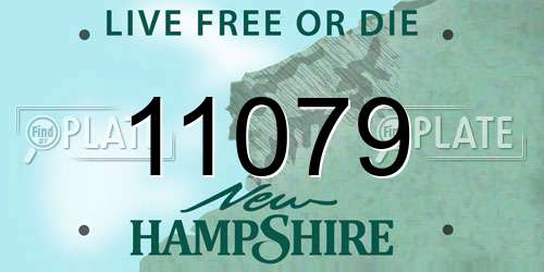 11079 New Hampshire License Plate