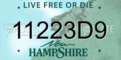 11223D9 New Hampshire License Plate