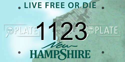 1123 New Hampshire License Plate