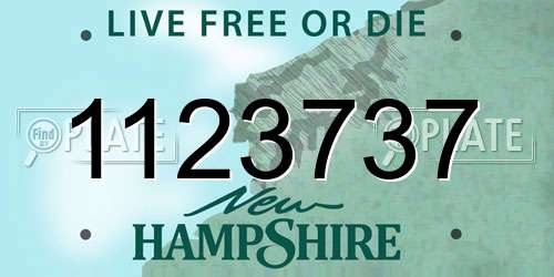 1123737 New Hampshire License Plate