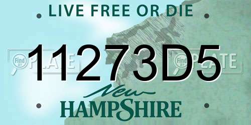 11273D5 New Hampshire License Plate