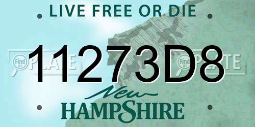11273D8 New Hampshire License Plate