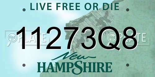11273Q8 New Hampshire License Plate