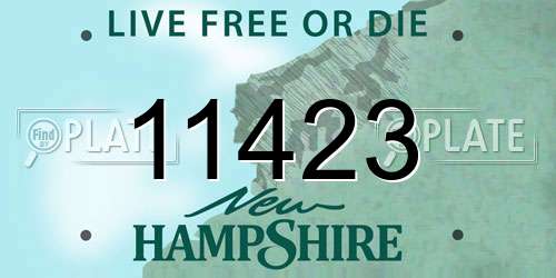 11423 New Hampshire License Plate