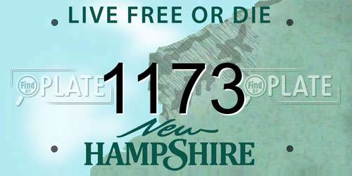 1173 New Hampshire License Plate