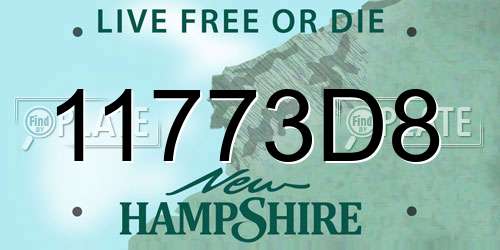 11773D8 New Hampshire License Plate