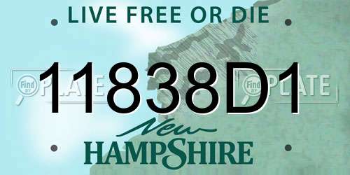 11838D1 New Hampshire License Plate