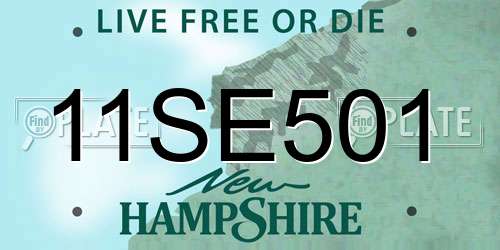 11SE501 New Hampshire License Plate