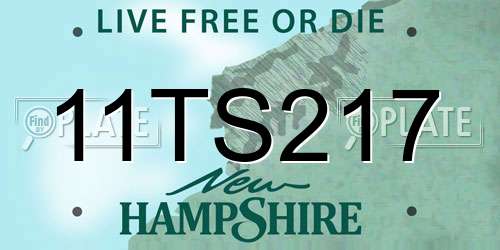 11TS217 New Hampshire License Plate