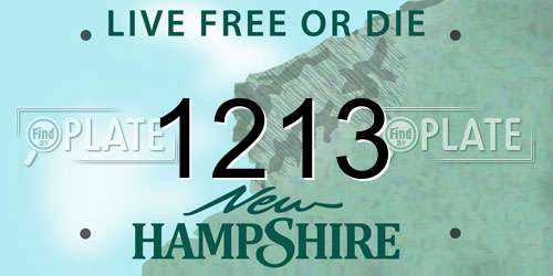 1213 New Hampshire License Plate