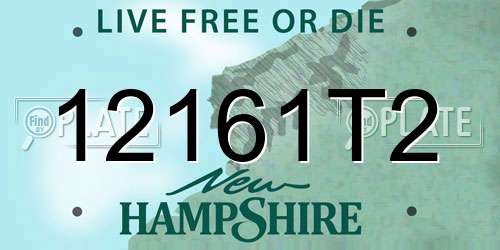 12161T2 New Hampshire License Plate