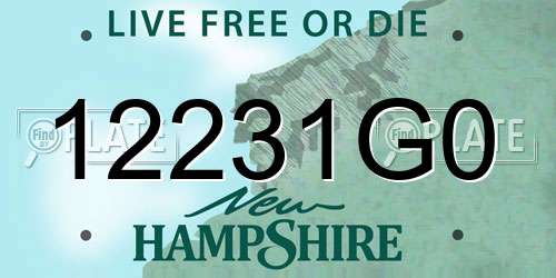 12231G0 New Hampshire License Plate