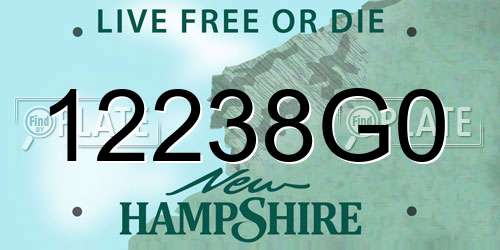 12238G0 New Hampshire License Plate