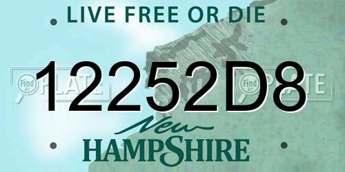 12252D8 New Hampshire License Plate