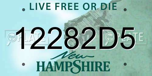 12282D5 New Hampshire License Plate