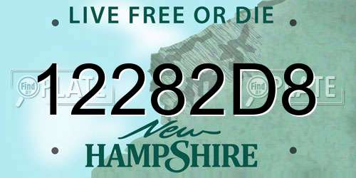 12282D8 New Hampshire License Plate