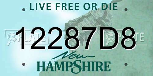 12287D8 New Hampshire License Plate