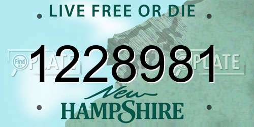 1228981 New Hampshire License Plate