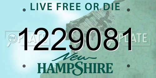 1229081 New Hampshire License Plate
