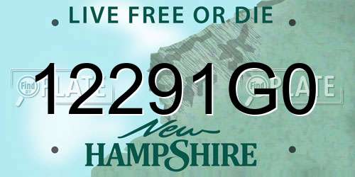 12291G0 New Hampshire License Plate
