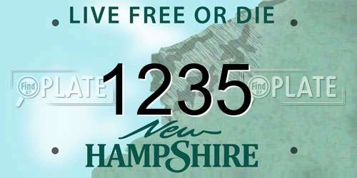 1235 New Hampshire License Plate
