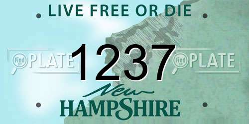 1237 New Hampshire License Plate