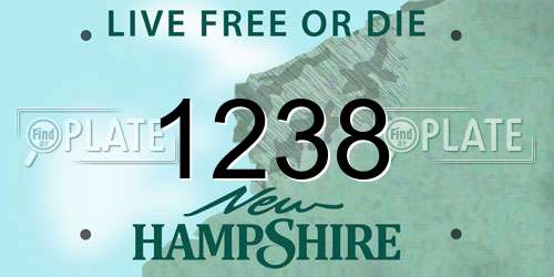1238 New Hampshire License Plate